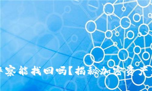 tpwallet被盗警察能找回吗？揭秘加密资产盗窃的处理流程