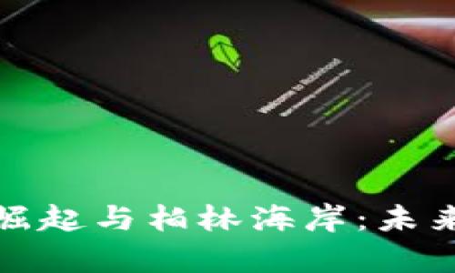 加密货币的崛起与柏林海岸：未来金融的前沿