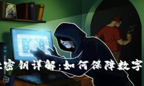 TPWallet密钥详解：如何保障数字资产安全