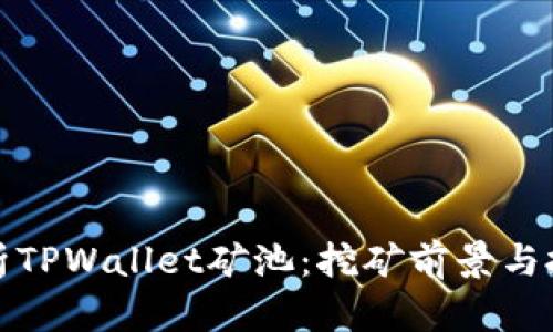 《全面解析TPWallet矿池：挖矿前景与投资指南》