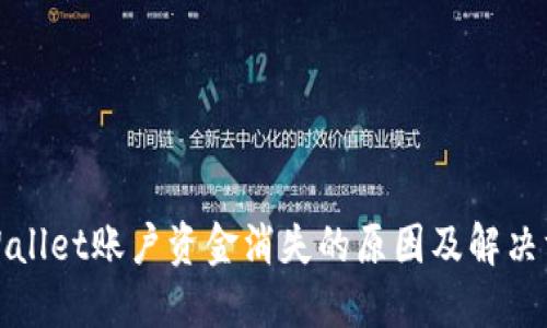 TPWallet账户资金消失的原因及解决方案