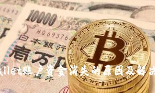 TPWallet账户资金消失的原因及解决方案