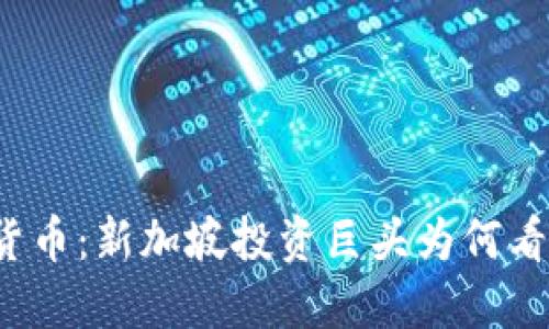 淡马锡加密货币：新加坡投资巨头为何看好数字资产？