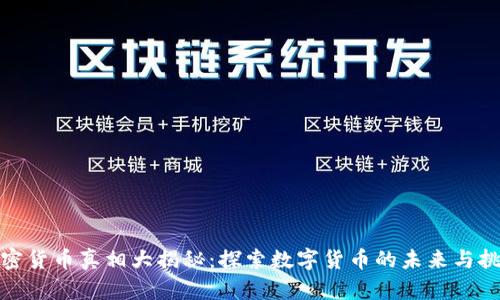 加密货币真相大揭秘：探索数字货币的未来与挑战