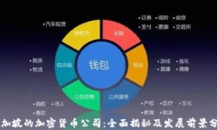 新加坡的加密货币公司：全面揭秘及发展前景分