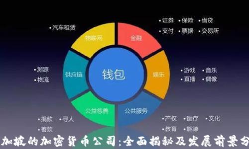 
新加坡的加密货币公司：全面揭秘及发展前景分析