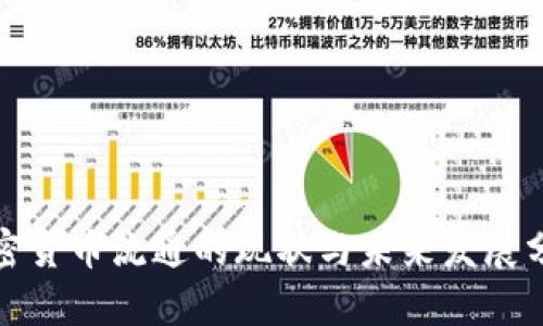 加密货币流通的现状与未来发展分析