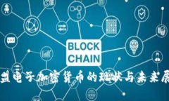 欧盟电子加密货币的现状与未来展望