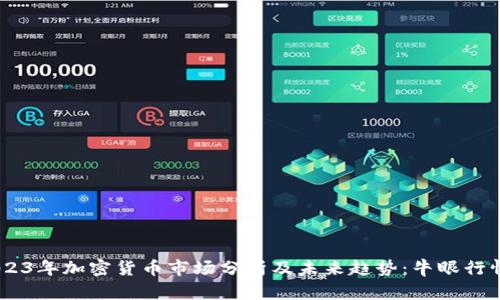 briaoti2023年加密货币市场分析及未来趋势：牛眼行情全面解读