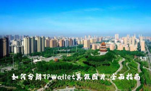 如何分辨TPWallet真假图片：全面指南