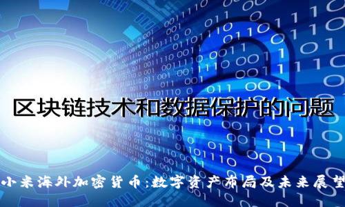 小米海外加密货币：数字资产布局及未来展望