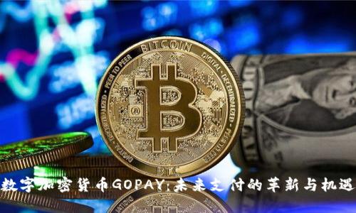 数字加密货币GOPAY：未来支付的革新与机遇