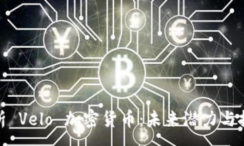 :

深入解析 Velo 加密货币：未来潜力与投资机会