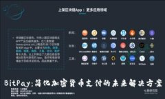 BitPay：简化加密货币支付的未来解决方案