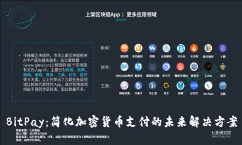 BitPay：简化加密货币支付的未来解决方案