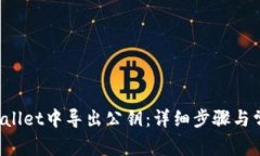 如何在TP Wallet中导出公钥：详细步骤与常见问题